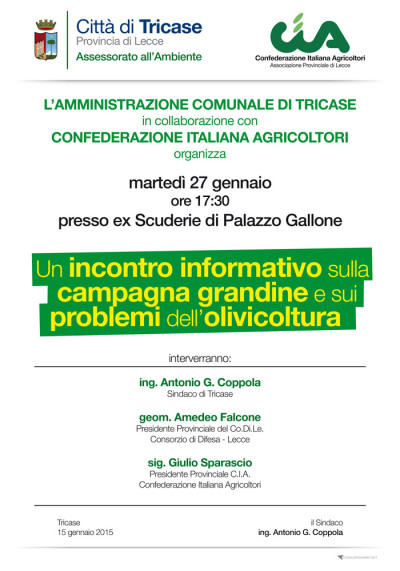 Tricase - 27.1.2015- ore 17.30 - Scuderie di Palazzo Gallone - Incontro infor...