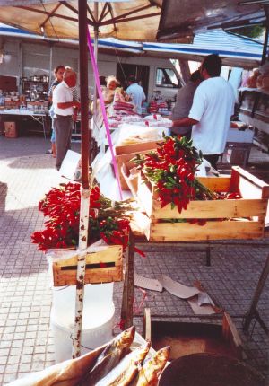 Lucugnano - 17 settembre 2006 - Fiera della Madonna Addolorata