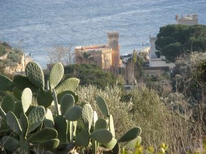 Una suggestiva veduta di Tricase Porto