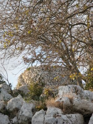 Un suggestivo scorcio di Tricase Porto