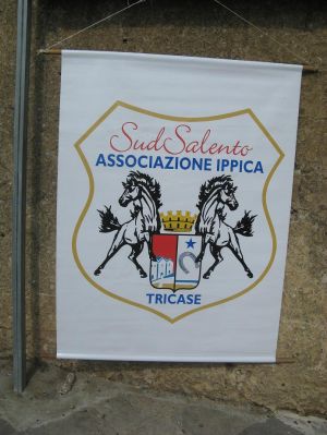 Tricase - 28 settembre 2008 - ore 10,30 - piazza Giuseppe Pisanelli - Telerama presenta 