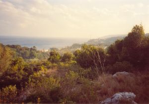 Una suggestiva veduta di Tricase Porto