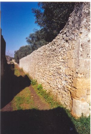 Tricase - via Madonna del Loreto - Vecchio muro in pietra