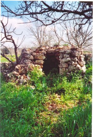 Unico Biotopo - Bosco di Tricase - Vecchia costruzione