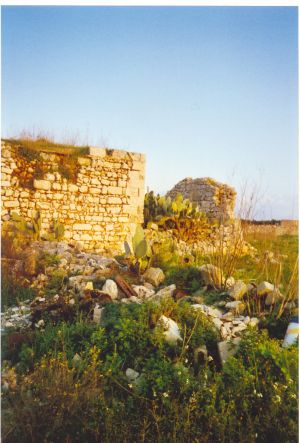 Tricase - via provinciale Mito - Andrano - Resti dell'antica Abbazia di Santa Maria de Amito o del Mito