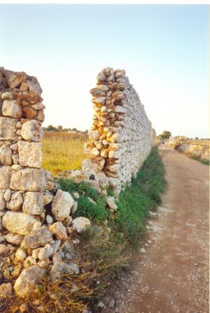 Tricase - via provinciale Mito - Andrano -Resti del  muro di recinzione dell'antica abbazia di Santa Maria de Amito o del Mito