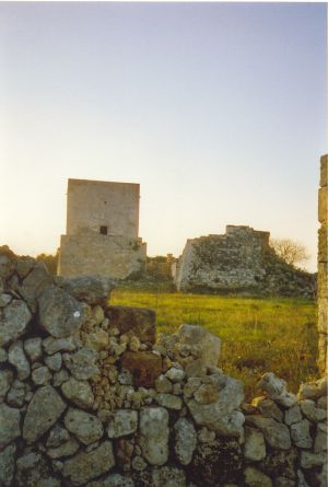 Tricase - via provinciale Mito - Andrano -Resti del  muro di recinzione dell'antica abbazia di Santa Maria de Amito o del Mito