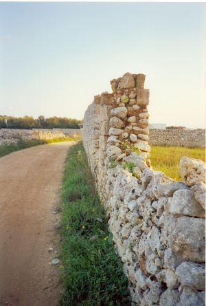 Tricase - via provinciale Mito - Andrano -Resti del  muro di recinzione dell'antica abbazia di Santa Maria de Amito o del Mito