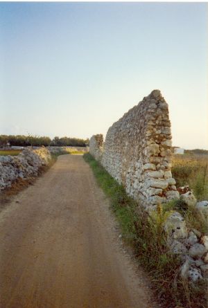 Tricase - via provinciale Mito - Andrano -Resti del  muro di recinzione dell'antica abbazia di Santa Maria de Amito o del Mito