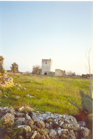 Tricase - via provinciale Mito - Andrano -Resti dell'antica abbazia di Santa Maria de Amito o del Mito