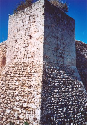 Tutino - Castello dei Trane - Primo piano di una torre
