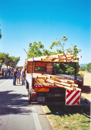 Sasnt'Eufemia - 22 agosto 2006 - Fiera della Madonna del Gonfalone