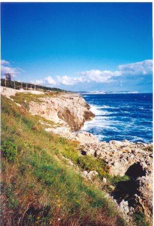 Tricase Porto - Litoranea per Castro - Paesaggio