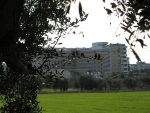 Tricase - Una suggestiva veduta del prospetto posteriore dell'Ospedale 
