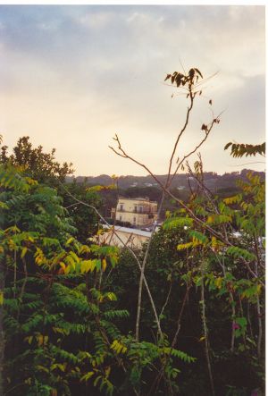 Tricase Porto - Paesaggio