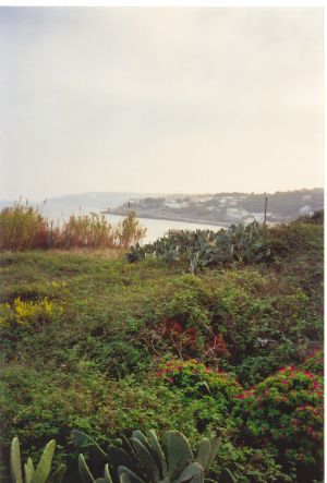 Tricase Porto - Paesaggio