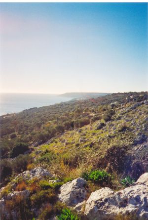 Tricase - Paesassgio visto dall'antica Torre del Sasso