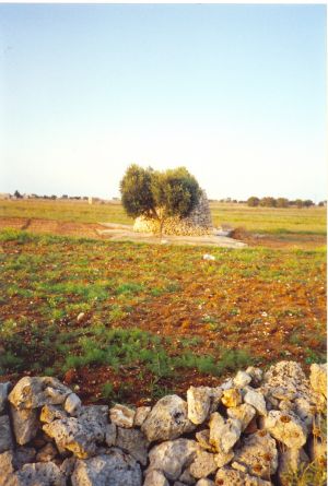 Depressa - Vecchia paiara nei pressi dell'Abbazia del Mito