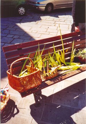 Tricase Piazza Pisanelli - 9 aprile 2006 - Domenica delle Palme - Prodotti realizzati con le palme da alcuni ragazzi locali