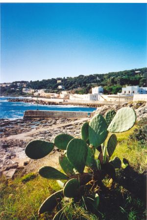 Tricase Porto - Uno scorcio del porto