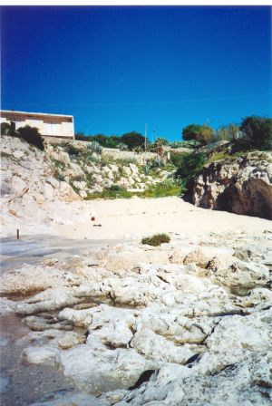 Tricase Porto - Un scorcio del paesaggio dietro 