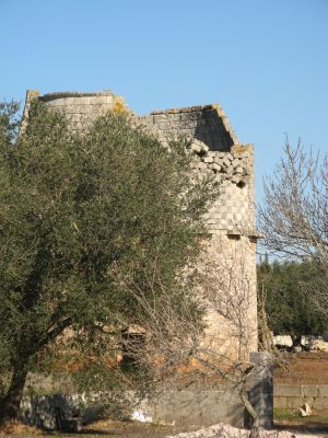 Tricase - via provinciale Mito - fondo Palummaru - Vecchia torre colombaia