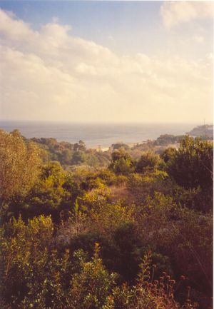 Una suggestiva veduta di Tricase Porto