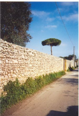 Tricase - via Madonna del Loreto - Vecchio muro in pietra