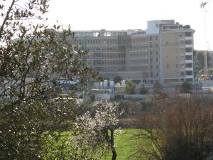 Tricase - Prospetto posteriore dell'Ospedale 