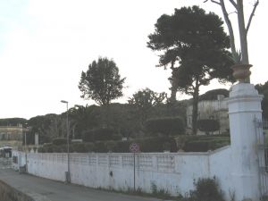 Tricase Porto - Uno scorcio di villa Daniele