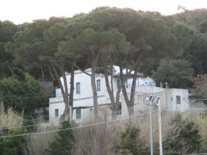 Tricase Porto - Antica casa immersa nel verde