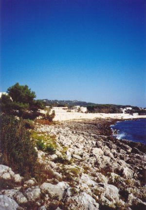 Tricase Porto - Lungomare Cristoforo Colombo - Veduta panoramica della costa