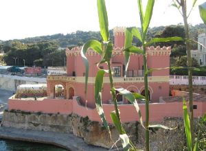 Tricase Porto - Un suggestivo scorcio di Villa Maria