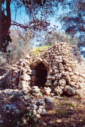 Vecchia paiara nei pressi dell'Unico Biotopo - Bosco di Tricase