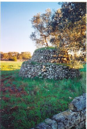 Caratteristica paiara sita in una campagna della frazione di Depressa