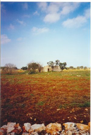 Tricase - via vecchia per Tricase Porto - Uno scorcio di una paiara