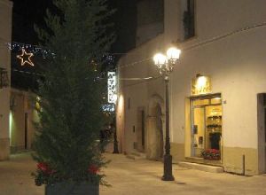 Tricase - via Domenico Caputo - Albero di Natale