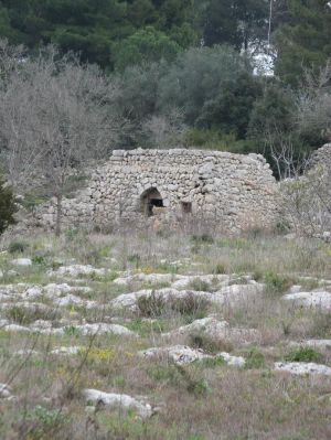 Vecchia paiara nei pressi della via provinciale per Marina Serra