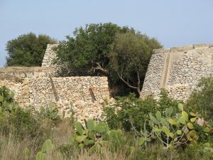 Vecchie paiare nei pressi del Canale del Rio