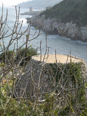 Vecchia paiara nei pressi del Canale del Rio