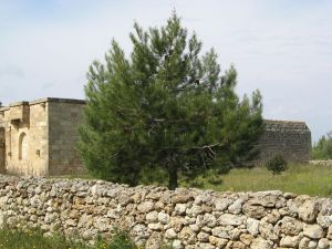 Prospetto frontale di un'antica masseria