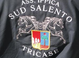 Logo dell'Associazione Ippica Sud Salento Tricase