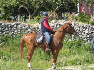 Tutino - 15 aprile 2007 - Passeggiata a cavallo degli aderenti  all'Associazione Ippica Sud Salento Tricase