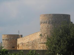 Castello realizzato nel 1524 dall'architetto tricasino  Renna - Uno scorcio del prospetto posteriore