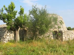 Vecchia paiara e curte scoperta nei pressi del Santuario della Madonna di Fatima