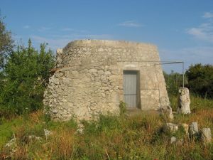 Vecchio lamione nei pressi del Santuario della Madonna di Fatima