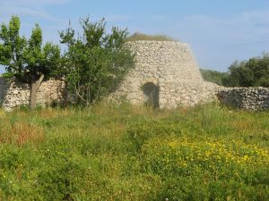 Vecchia paiara e curte scoperta nei pressi del Santuario della Madonna di Fatima