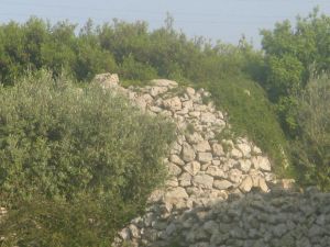 Uno scorcio suggestivo della campgna capraricese