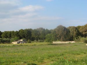 Un suggestivo scorcio del paesaggio alle spalle del santuario della Madonna di Fatima