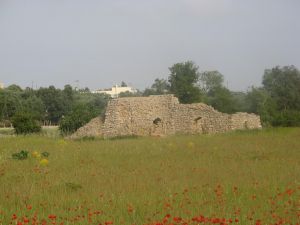 Antiche paiare in agro di Sant'Eufemia